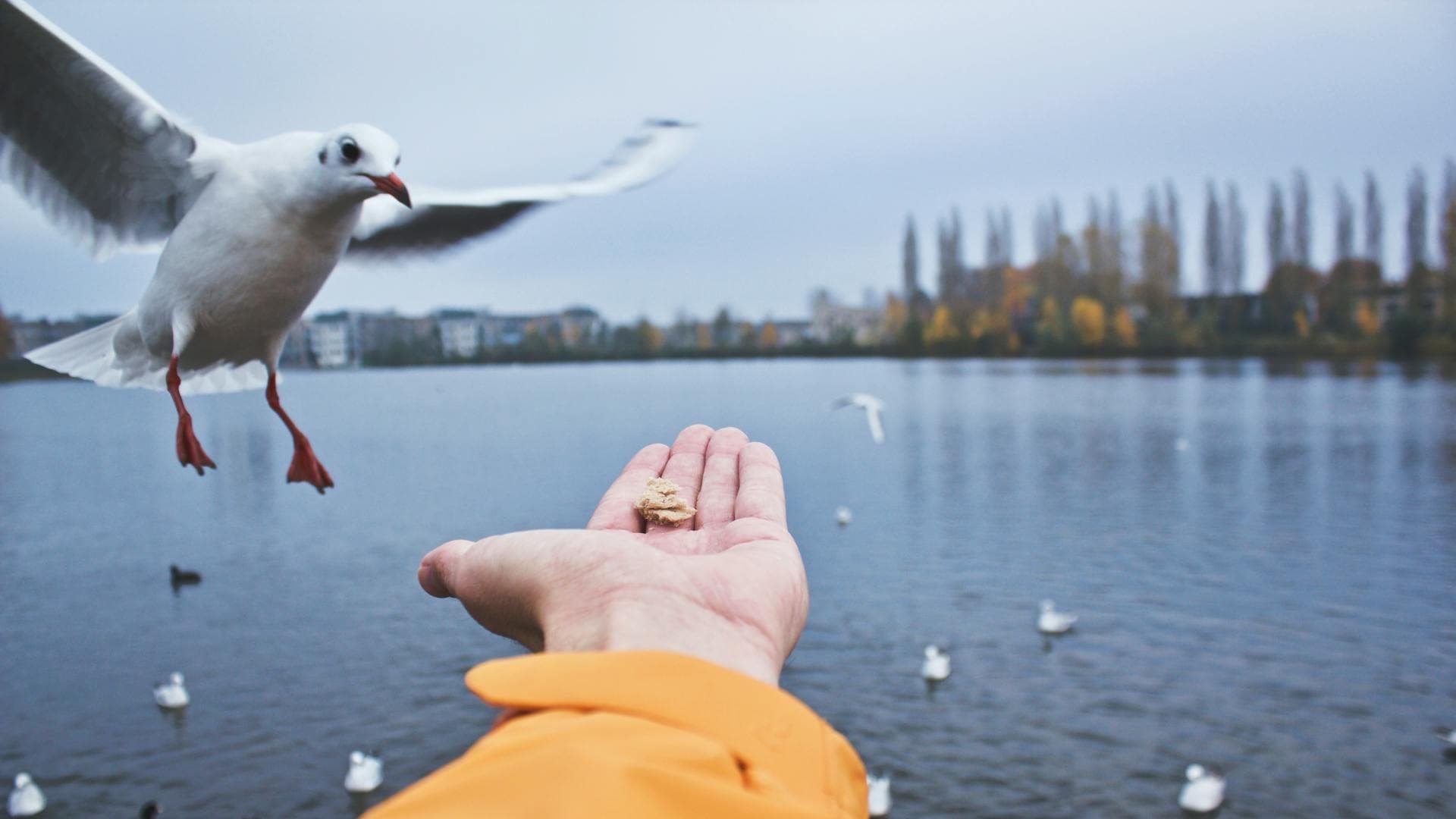 Beyond the Numbers: Quality of Life Factors in Cost of Living Decisions